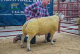 Lot 155 Sold for £1100 from A Taylor Heatheryhall